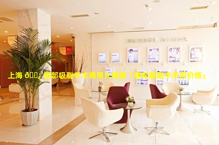 上海 🌿 腰部吸脂手术费用大揭秘「腰部吸脂手术的价格」